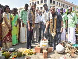 Pongal_Celebration